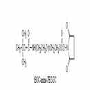 tBOC-氨基-聚乙二醇-SC酯 tBOC-NH-PEG-Succinimidyl Carbonate