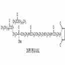 二硬脂酰基磷脂酰乙醇胺-PEG-馬來酰亞胺 DSPE-PEG-Maleimide