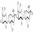 Di-N-Acetyl-D-Lactosamine / DiLacNAc