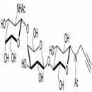 aGM2神經節苷脂類糖-N-乙酰-丙炔