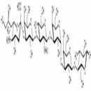 唾液酸iGb5類似物1型
