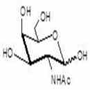 N-乙酰-D-半乳糖胺