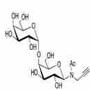 α1-4 半乳二糖-N-乙酰丙炔