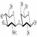 葡萄糖-N-乙酰β1-3半乳糖胺