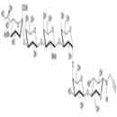 SSEA-4六糖-β-N-乙?；?丙炔