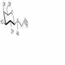 半乳糖β-N(乙酰基)-丙炔