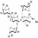 3-巖藻糖-B血型抗原四糖-BSA