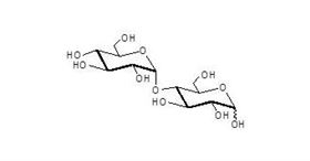 麥芽糖 Maltose