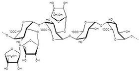 芹半乳糖醛酸多糖(鈉鹽) Apiogalacturonan polysaccharide