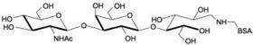 Lacto-N-Triaose / LNT2 linked to BSA