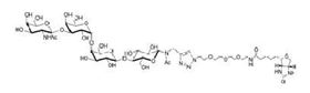 Gb4-Nac-空間構(gòu)型3-生物素 Globotetraose-Nac-sp3-biotin