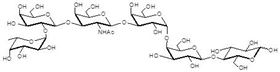 階段特異性胚胎抗原3b Globo-H hexaose / Stage Specific Embryonic Antigen 3b / SSEA-3b