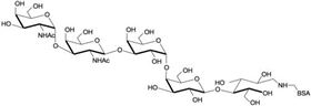 福斯曼抗原五糖-BSA Forssman antigen pentaose linked to BSA