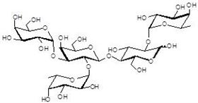 巖藻糖B抗原5型 Fucosylated B antigen type 5