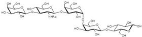 Gb五糖類似物1型 Globopentaose analogue type 1 / Gb5 analogue type 1