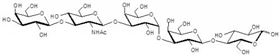 iGb5 類似物1型 Isoglobopentaose analogue type 1 / iGb5 analogue type 1