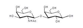 Gb4 紅細胞糖苷酯終端,Gb4 Globoside terminal