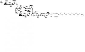 GD1a神經節苷脂類糖-β-N-乙酰-空間結構1-胺,GD1a Ganglioside sugar-β-NAc-sp1-NH2