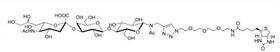 GM3神經節苷脂類糖-β-N-乙酰–空間構型1-胺,GM3-β-N-Acetyl-spacer1-NH2