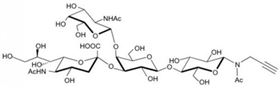 GM2神經節苷脂類糖-β-N-乙酰基-丙炔,GM2 Ganglioside sugar-β-NAc-Propargyl