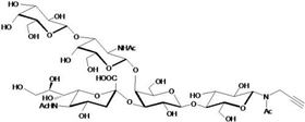 GM1a神經節苷脂類糖-N-乙酰基-β-丙炔,GM1a Ganglioside sugar-NAc-β-Propargyl