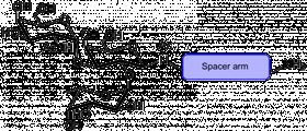 Lewis y抗原五糖-β-N-乙酰基-空間構型3-生物素,Lewis<sup>y</sup> pentaose-β-N-Acetyl-spacer3-Biotin