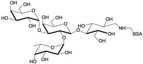 B血型抗原四糖5型-BSA , Blood group B antigen tetraose type 5 linked to BSA