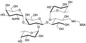 3-巖藻糖-A血型抗原四糖-BSA, 3-Fucosylated Blood group A tetraose linked to BSA