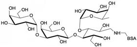 α-3半乳糖-3巖藻糖乳糖-BSA, α-3Galactosyl-3Fucosyllactose linked to BSA