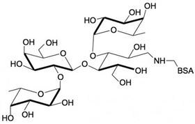 乳糖二巖藻糖四糖-BSA, Lactodifucotetraose linked to BSA / DF-L-BSA / Difucosyllactose-BSA