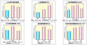 Wako 蠶繭源蛋白-Pure Sericin 純絲膠