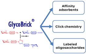 GlycoBricks® Applications