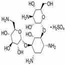 硫酸卡那霉素