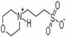 3-(N-嗎啡啉)乙磺酸