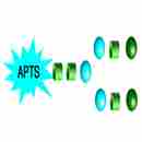 APTS Labeled N-Glycans APTS標記N-多糖