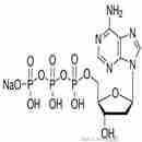 2’-脫氧腺嘌呤-5’-三磷酸