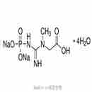磷酸肌酸二鈉鹽四水合物