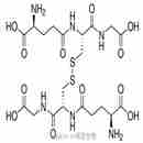 谷胱甘肽(氧化型)