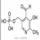 5-磷酸-吡哆醛.1H2O