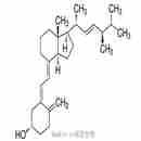 維生素D2 Vitamin D2