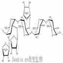 芹半乳糖醛酸多糖(鈉鹽)