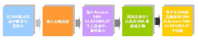 GENECLEAN® for Ancient DNA Kit簡單操作步驟