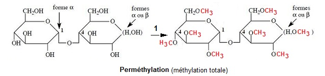 Permethylation