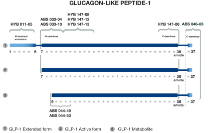 胰高血糖素樣肽-1(GLP-1) 胰高血糖素樣肽-1(GLP-1)