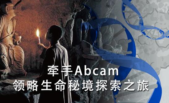 熱烈慶祝西寶生物成為<font color='red'>Abcam</font>代理