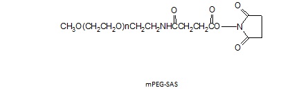 甲氧基聚乙二醇SAS酯四分子量套裝 mPEG-Succinimidyl Amido Succinate, 4 MW Kit