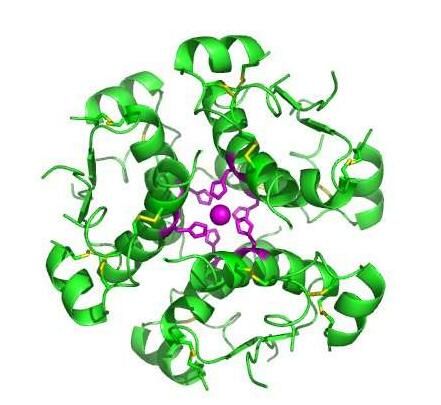 炎癥誘發糖尿病的分子機制