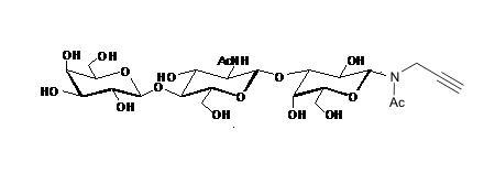 Core type 2 -N-acetyl-propargyl