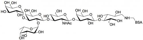 Blood group A antigen hexaose type 1 linked to BSA