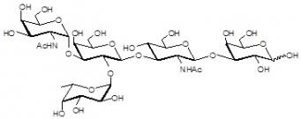 Blood group A antigen pentaose type 1